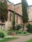 Albi :)
