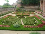 Albi :)
